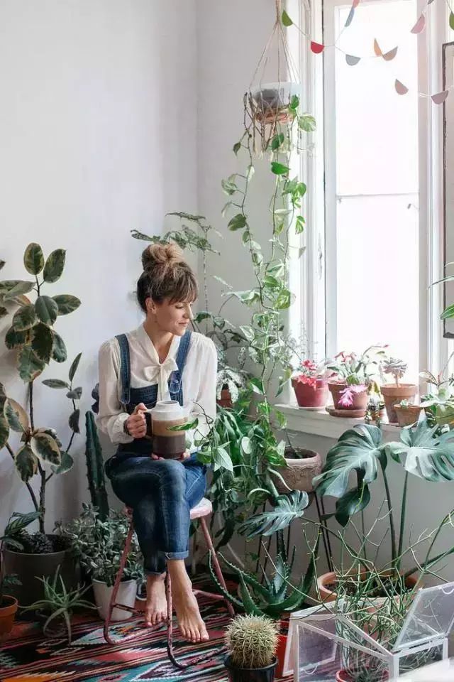 审美趣味奢侈生活是指什么_奢侈生活的审美趣味是什么_奢华美学
